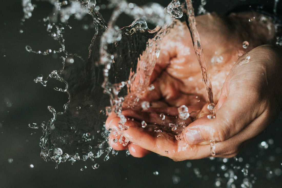 From Home to Street: How Personal Hygiene Shapes Public Health